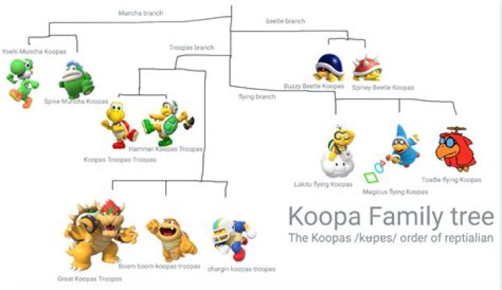 Are Koopas good or bad?