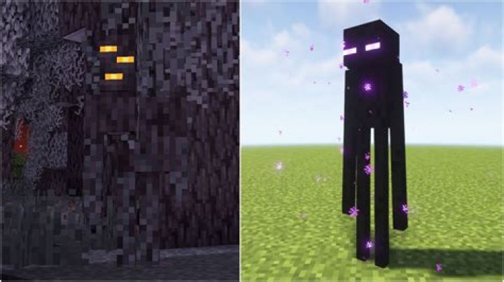 Can an Enderman come into your house?