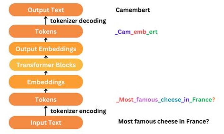 Can tokens be placed face down?