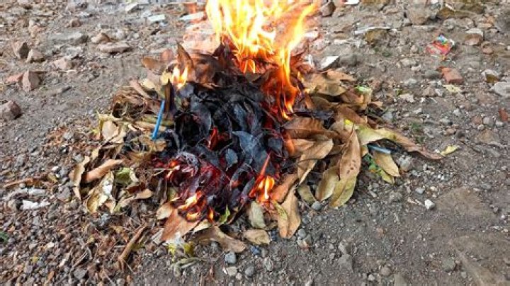 Can wood easily catch fire?