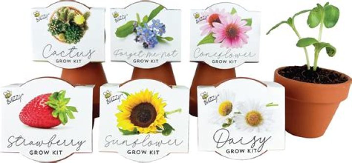 Can you start seeds in terracotta pots?