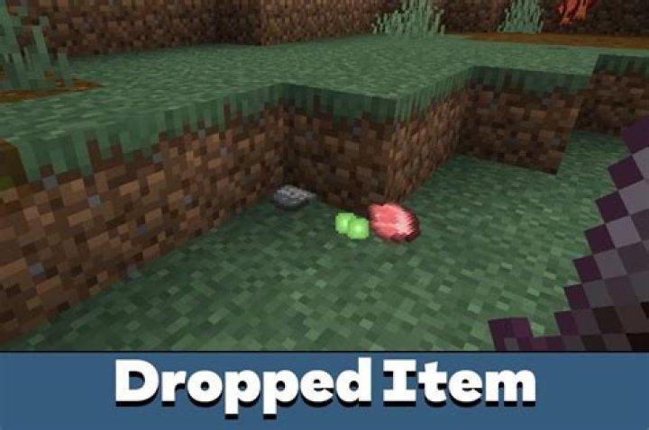 Do dropped items disappear Minecraft?