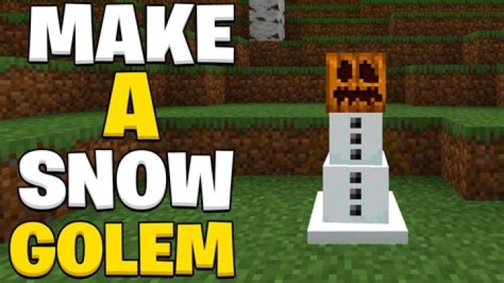 Do Minecraft snow golems Despawn?