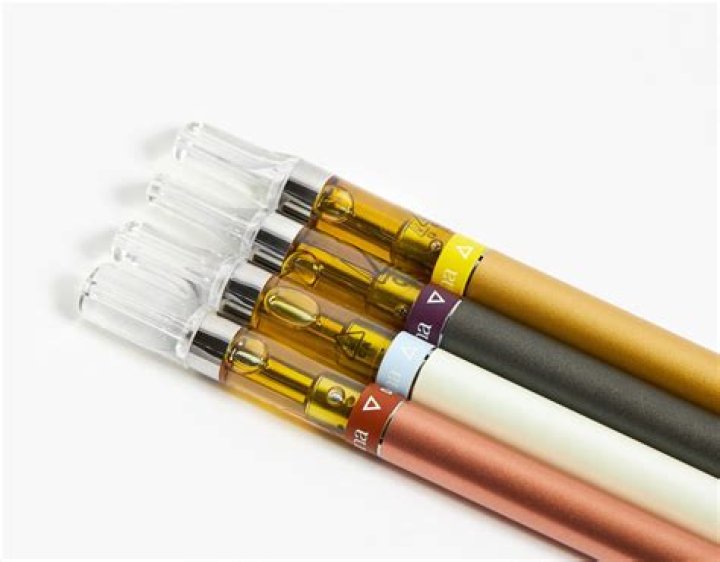 How do flash carts work?