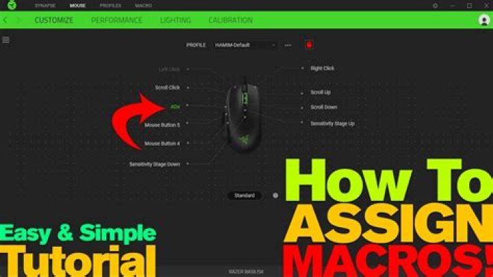 How do I assign a macro to a mouse button?