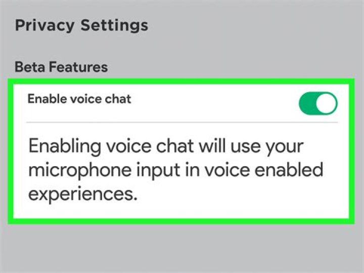 How do I turn off voice chat in game?