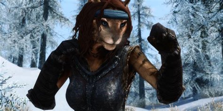 How do wards work Skyrim?
