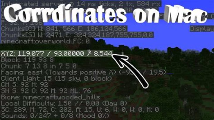 How do you see your coordinates in Minecraft PE?