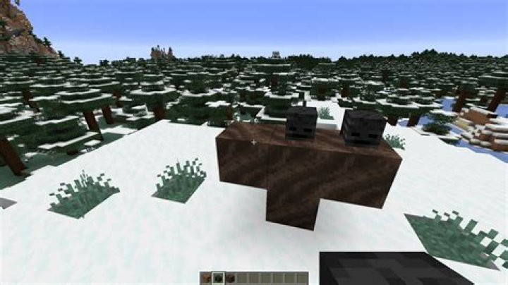 How do you spawn wood in Minecraft?