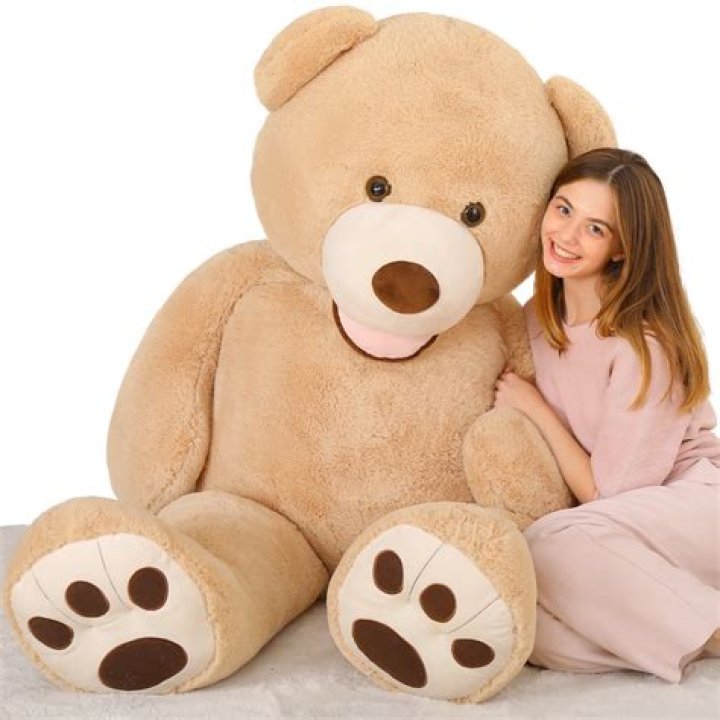How much does a teddy bear cost?