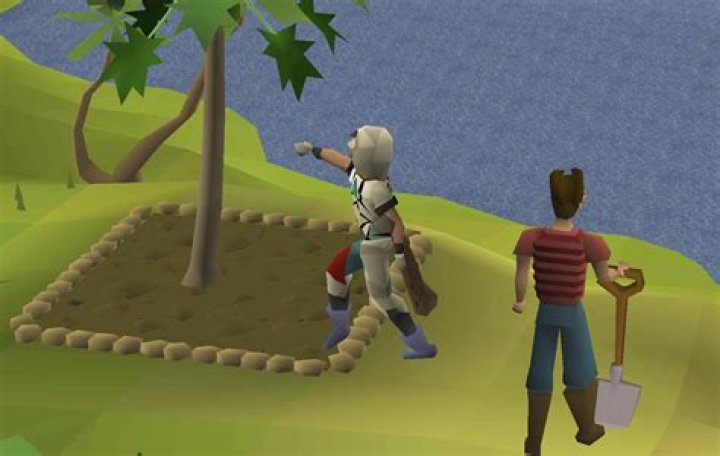 Is runescape gold farming illegal?