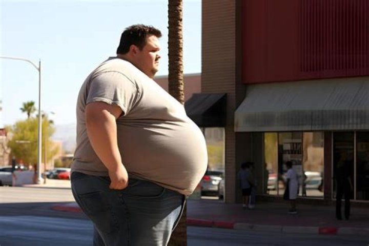 Is the Fat Man in Fallout 1?