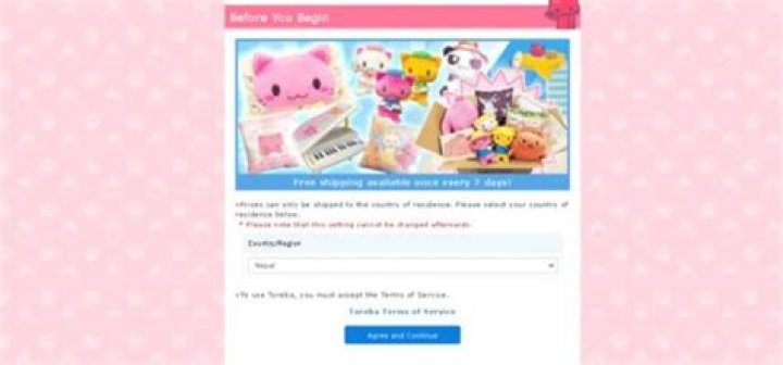 Is the Toreba crane game legit?
