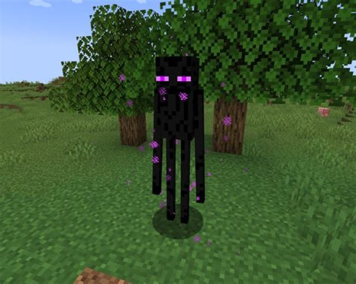 What are Endermen weak to?