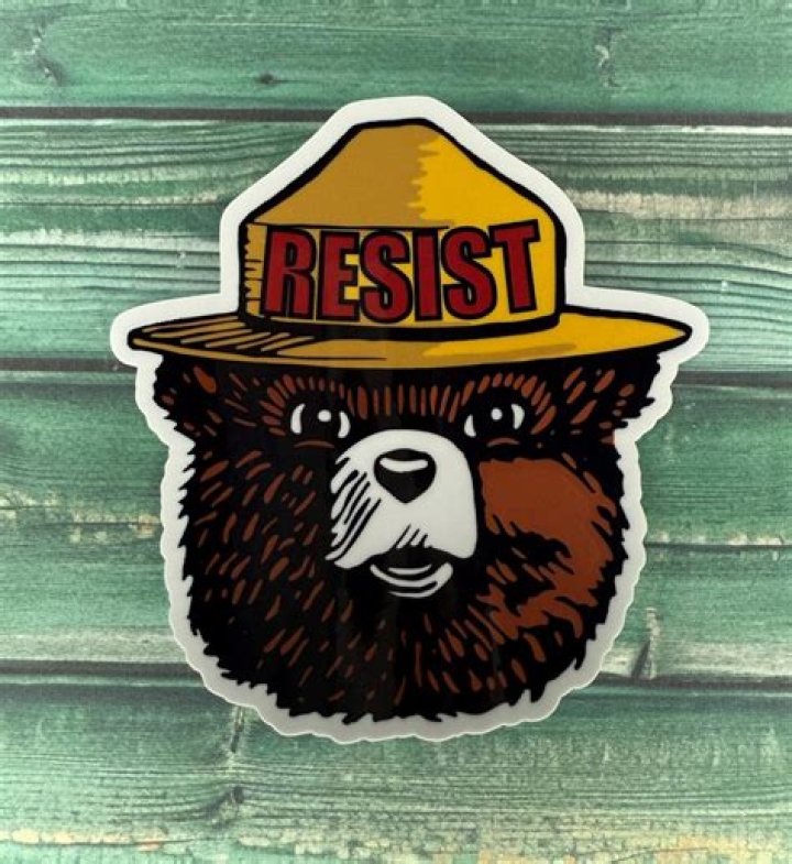 What does resist magic do in Skyrim?
