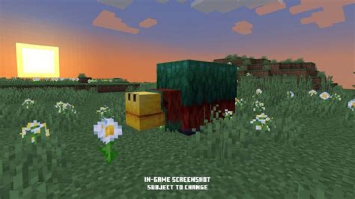What is the Minecraft time for sunrise?
