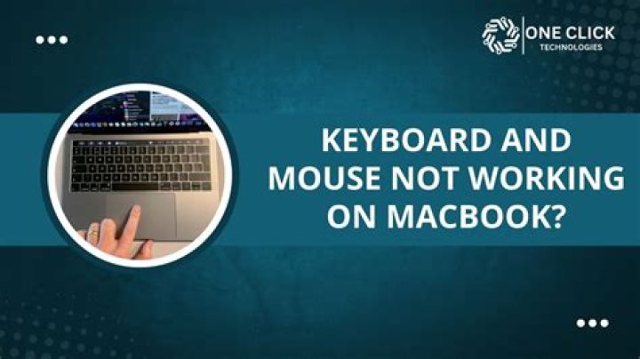 Why is my keyboard and mouse not working?